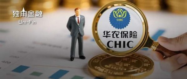哪个证券公司可以加杠杆 华农财险十年“掌舵人”辞任! 华邦控股能否守住大股东之位?