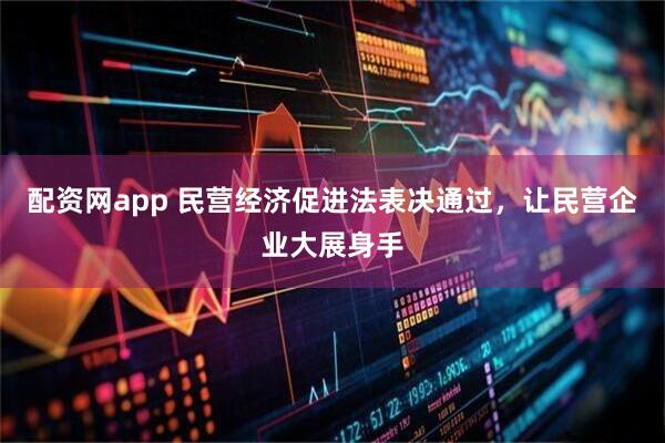 配资网app 民营经济促进法表决通过，让民营企业大展身手