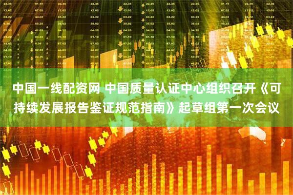 中国一线配资网 中国质量认证中心组织召开《可持续发展报告鉴证规范指南》起草组第一次会议