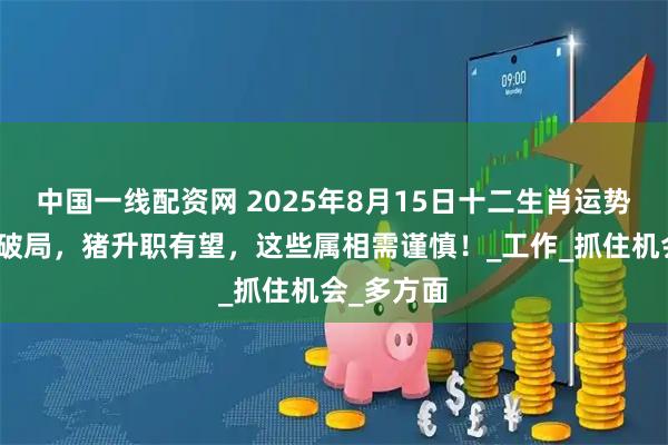 中国一线配资网 2025年8月15日十二生肖运势：狗事业破局，猪升职有望，这些属相需谨慎！_工作_抓住机会_多方面
