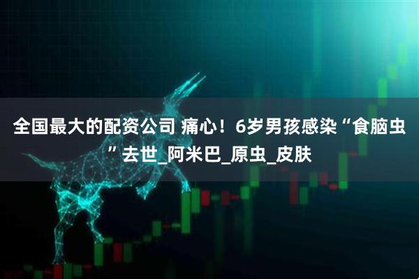 全国最大的配资公司 痛心！6岁男孩感染“食脑虫”去世_阿米巴_原虫_皮肤